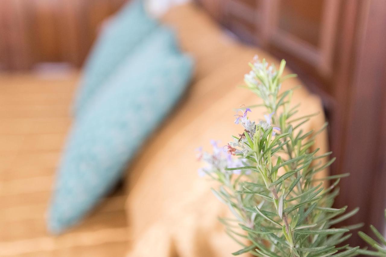 Bed and Breakfast Boutique House Lujopobre Montilla Exterior foto